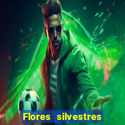 Flores silvestres brasileiras 25